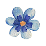 Ilse's profile image